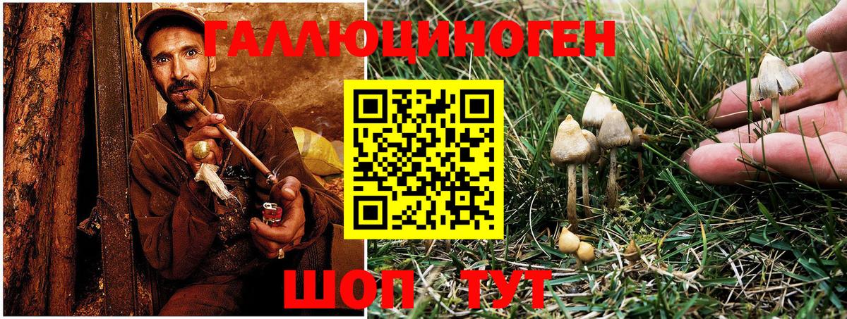 Жигулёвск  Галлюциногенные грибы GOLDEN TEACHER  Галлюциногенные грибы Psilocybine cubensis  Вход с VPN 