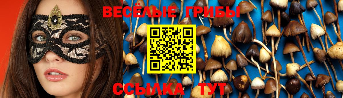 ГАШ Жигулёвск